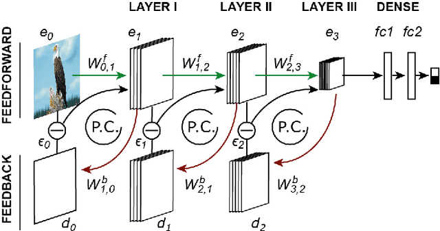 Figure 3 for Predictive coding feedback results in perceived illusory contours in a recurrent neural network