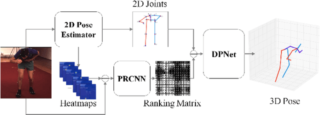 Figure 3 for DRPose3D: Depth Ranking in 3D Human Pose Estimation