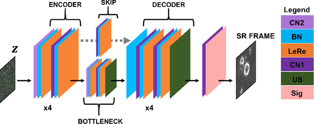 Figure 3 for Recursive Deep Prior Video: a Super Resolution algorithm for Time-Lapse Microscopy of organ-on-chip experiments