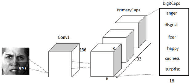 Figure 1 for An optimized Capsule-LSTM model for facial expression recognition with video sequences