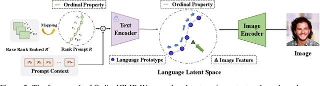 Figure 2 for OrdinalCLIP: Learning Rank Prompts for Language-Guided Ordinal Regression