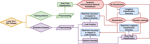Figure 1 for Virtual Reality to Study the Gap Between Offline and Real-Time EMG-based Gesture Recognition