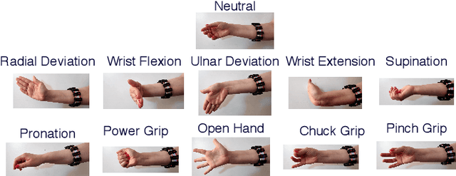 Figure 4 for Virtual Reality to Study the Gap Between Offline and Real-Time EMG-based Gesture Recognition