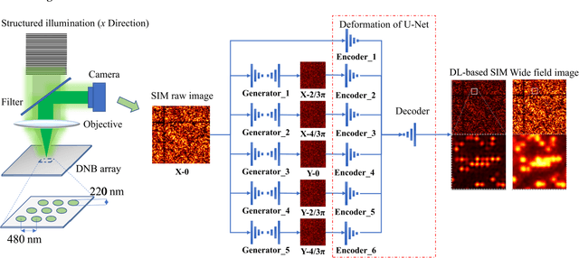 Figure 1 for Single-shot structured illumination microscopy