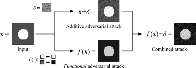 Figure 1 for Functional Adversarial Attacks