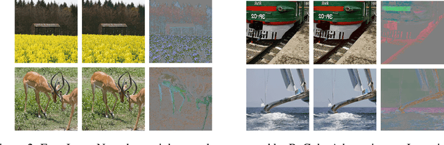 Figure 2 for Functional Adversarial Attacks
