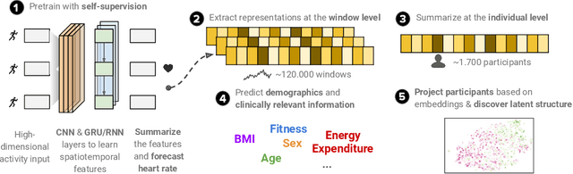 Figure 1 for Learning Generalizable Physiological Representations from Large-scale Wearable Data