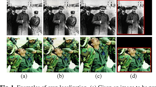 Figure 1 for No way to crop: On robust image crop localization