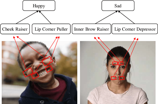 Figure 1 for AU-Expression Knowledge Constrained Representation Learning for Facial Expression Recognition