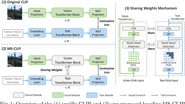 Figure 1 for Learning Visual Representation from Modality-Shared Contrastive Language-Image Pre-training
