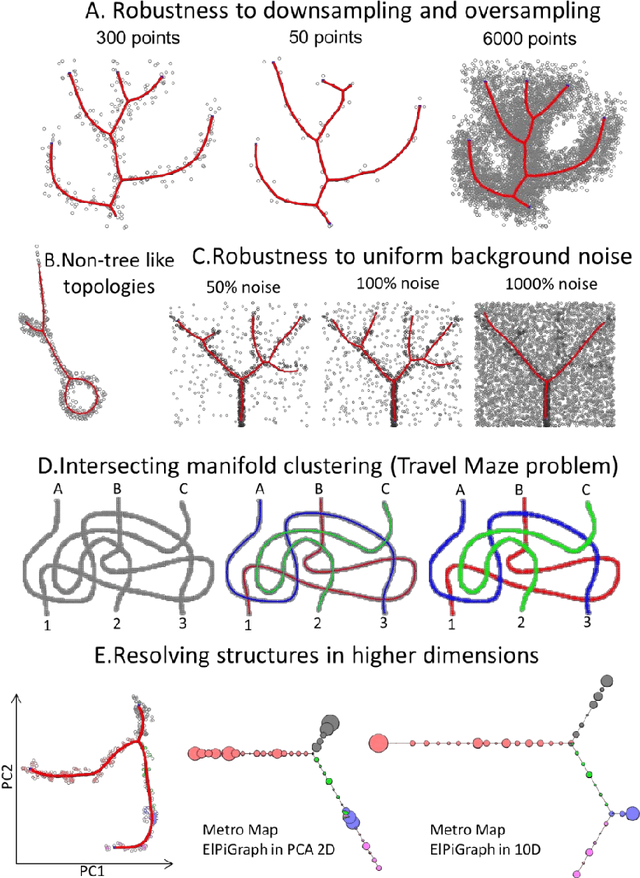 Figure 2 for Robust And Scalable Learning Of Complex Dataset Topologies Via Elpigraph