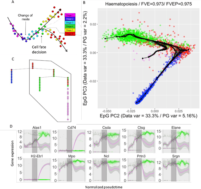 Figure 4 for Robust And Scalable Learning Of Complex Dataset Topologies Via Elpigraph