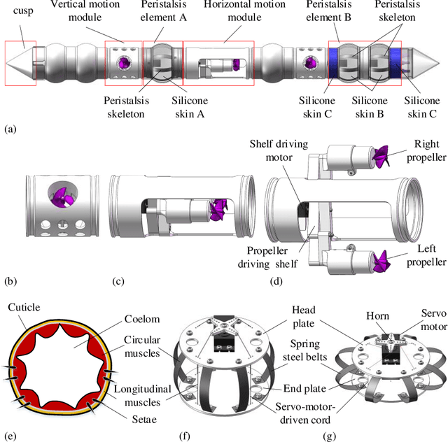 Figure 1 for An Earthworm-Inspired Multi-Mode Underwater Locomotion Robot: Design, Modeling, and Experiments