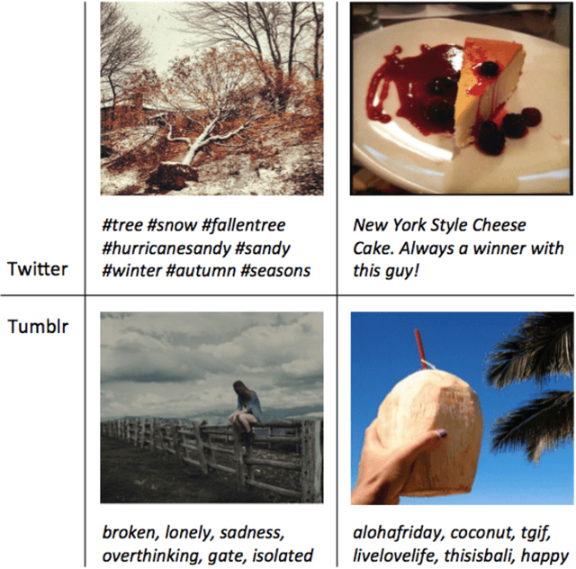 Figure 1 for Visual Sentiment Prediction with Deep Convolutional Neural Networks