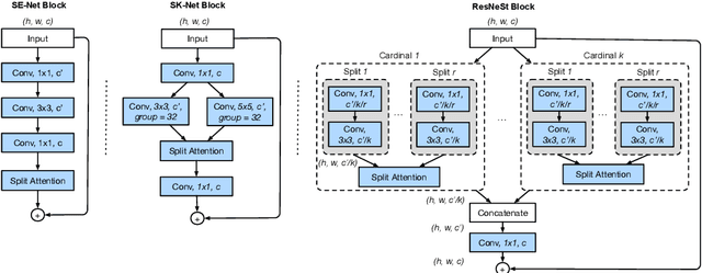 Figure 2 for ResNeSt: Split-Attention Networks