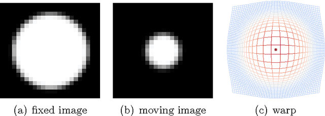 Figure 1 for Symmetry in Image Registration and Deformation Modeling