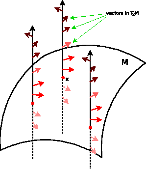 Figure 3 for Symmetry in Image Registration and Deformation Modeling