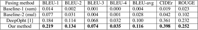 Figure 4 for Longer Version for "Deep Context-Encoding Network for Retinal Image Captioning"