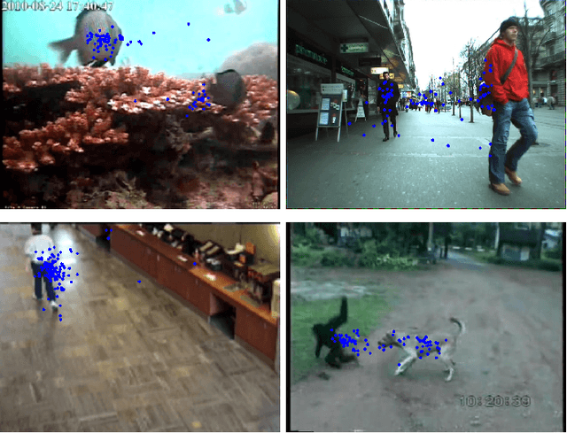 Figure 3 for Gamifying Video Object Segmentation