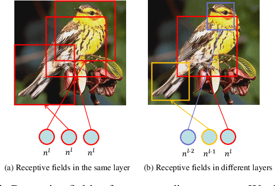 Figure 1 for Associating Multi-Scale Receptive Fields for Fine-grained Recognition