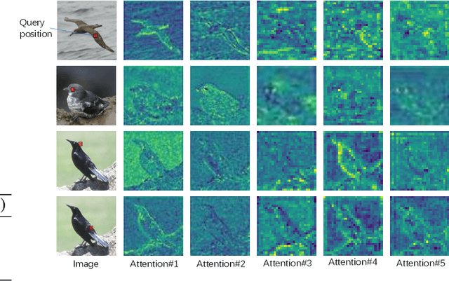 Figure 4 for Associating Multi-Scale Receptive Fields for Fine-grained Recognition