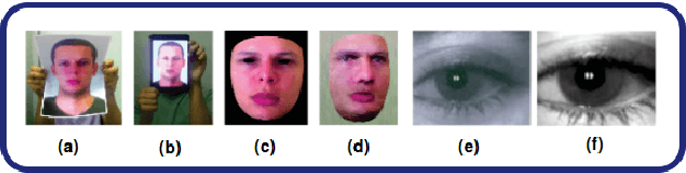 Figure 1 for FDSNet: Finger dorsal image spoof detection network using light field camera