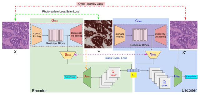 Figure 4 for GAN-based Virtual Re-Staining: A Promising Solution for Whole Slide Image Analysis