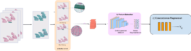 Figure 2 for Using Whole Slide Image Representations from Self-Supervised Contrastive Learning for Melanoma Concordance Regression