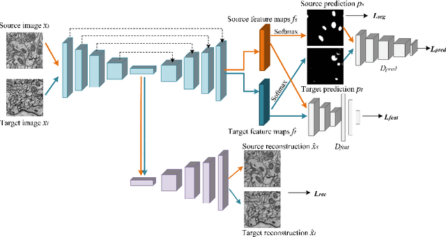 Figure 1 for Adversarial-Prediction Guided Multi-task Adaptation for Semantic Segmentation of Electron Microscopy Images