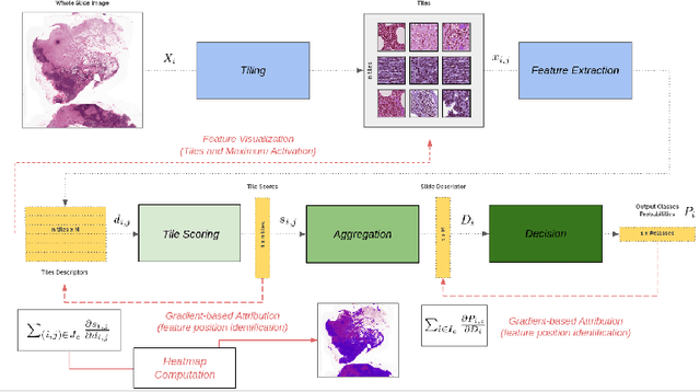 Figure 1 for Improving Interpretability for Computer-aided Diagnosis tools on Whole Slide Imaging with Multiple Instance Learning and Gradient-based Explanations