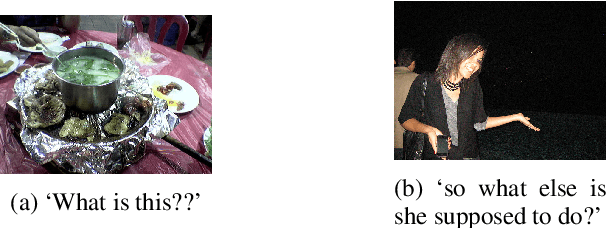 Figure 1 for VIFIDEL: Evaluating the Visual Fidelity of Image Descriptions