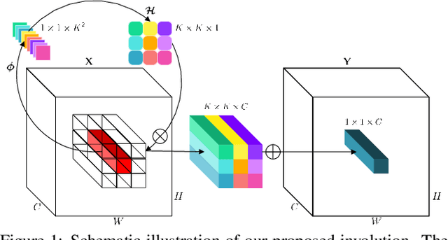 Figure 1 for Involution: Inverting the Inherence of Convolution for Visual Recognition