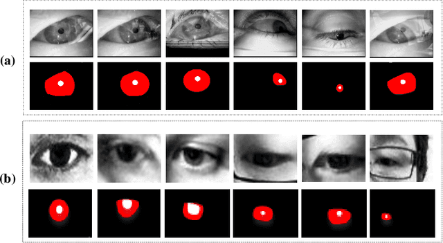 Figure 3 for Purifying Naturalistic Images through a Real-time Style Transfer Semantics Network