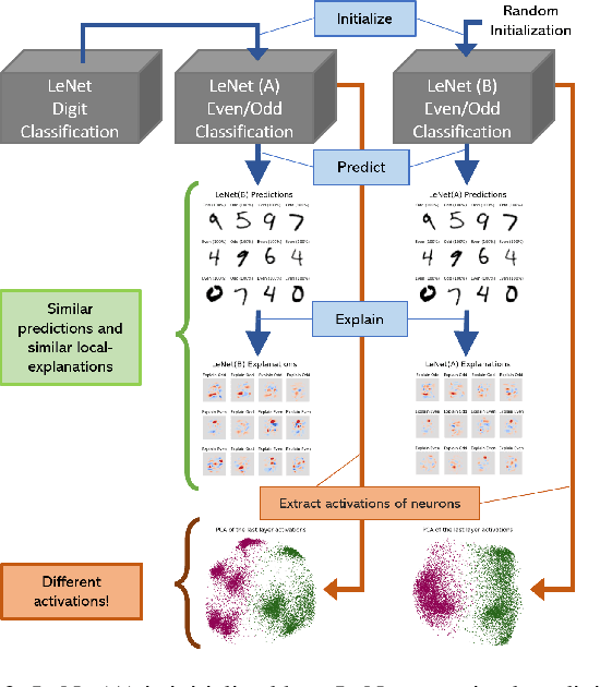 Figure 3 for NeuCEPT: Locally Discover Neural Networks' Mechanism via Critical Neurons Identification with Precision Guarantee