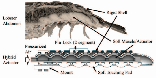 Figure 1 for A Reconfigurable Hybrid Actuator with Rigid and Soft Components
