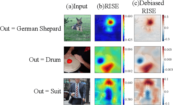 Figure 4 for Visualizing Color-wise Saliency of Black-Box Image Classification Models