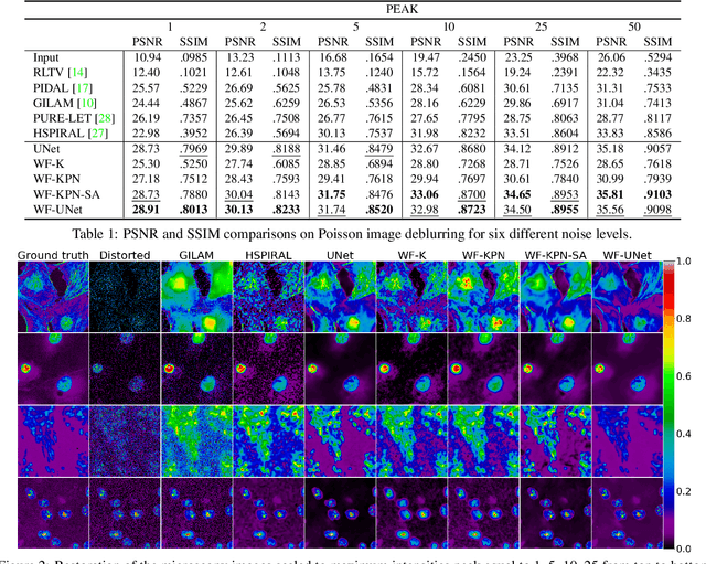 Figure 2 for Microscopy Image Restoration with Deep Wiener-Kolmogorov filters