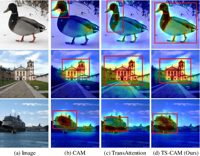 Figure 1 for TS-CAM: Token Semantic Coupled Attention Map for Weakly Supervised Object Localization