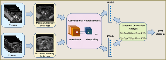 Figure 1 for Deep Multi-Modal Classification of Intraductal Papillary Mucinous Neoplasms (IPMN) with Canonical Correlation Analysis