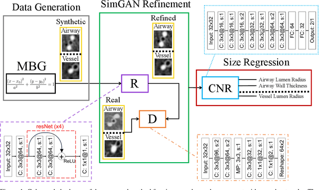 Figure 1 for Generative-based Airway and Vessel Morphology Quantification on Chest CT Images