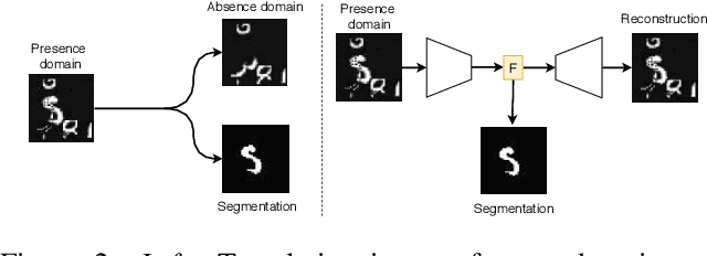 Figure 3 for Boosting segmentation with weak supervision from image-to-image translation
