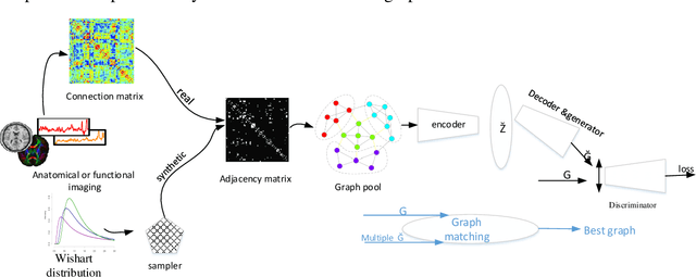 Figure 1 for Graph-Based Method for Anomaly Prediction in Functional Brain Network using Variational Autoencoder