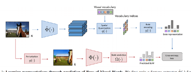 Figure 1 for Reproducing BowNet: Learning Representations by Predicting Bags of Visual Words