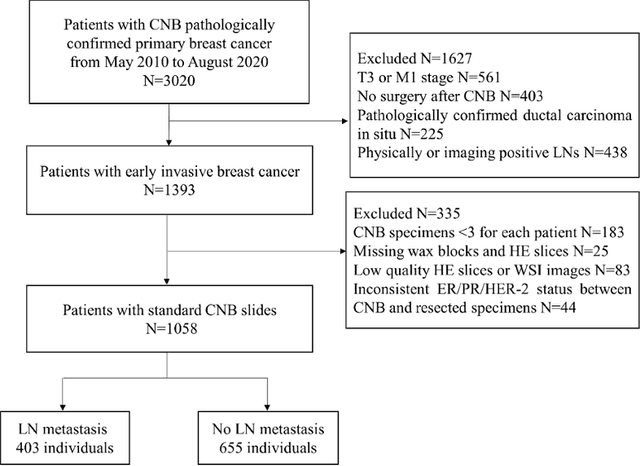 Figure 1 for Predicting Axillary Lymph Node Metastasis in Early Breast Cancer Using Deep Learning on Primary Tumor Biopsy Slides