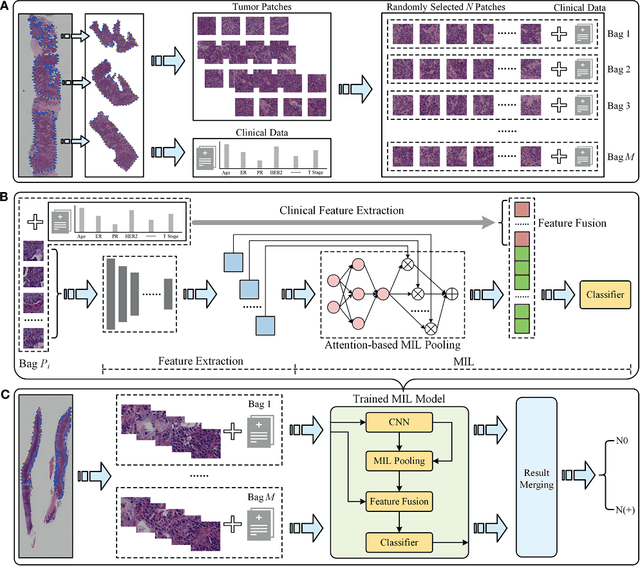 Figure 3 for Predicting Axillary Lymph Node Metastasis in Early Breast Cancer Using Deep Learning on Primary Tumor Biopsy Slides