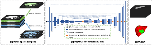 Figure 1 for Multi-Slice Dense-Sparse Learning for Efficient Liver and Tumor Segmentation