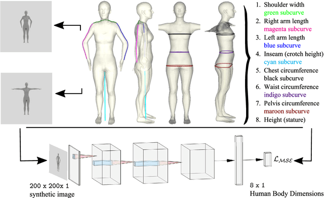 Figure 1 for A Neural Anthropometer Learning from Body Dimensions Computed on Human 3D Meshes