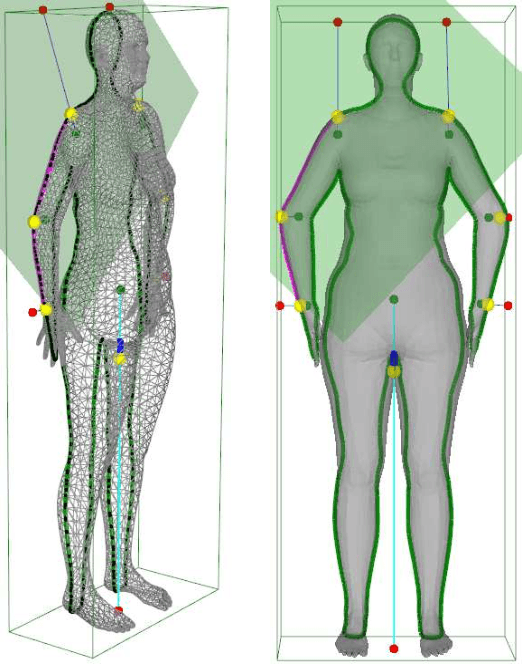 Figure 3 for A Neural Anthropometer Learning from Body Dimensions Computed on Human 3D Meshes