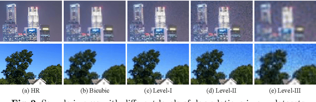 Figure 3 for Efficient and Degradation-Adaptive Network for Real-World Image Super-Resolution