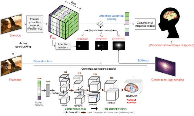 Figure 1 for Neural encoding with visual attention